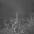 Webcam_20220110-053000