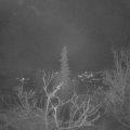 Webcam_20220110-060000