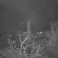 Webcam_20220110-063000