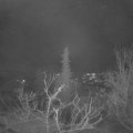 Webcam_20220110-070000