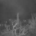 Webcam_20220111-050000