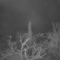 Webcam_20220111-051500