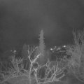 Webcam_20220111-063000