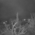 Webcam_20220111-220000