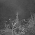 Webcam_20220112-053000