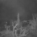 Webcam_20220112-054500