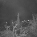 Webcam_20220112-061500