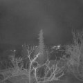 Webcam_20220112-064500