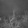 Webcam_20220113-050000