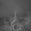 Webcam_20220113-051500
