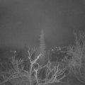 Webcam_20220113-053000