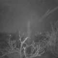 Webcam_20220113-054500