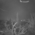 Webcam_20220113-060000