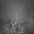 Webcam_20220113-061500