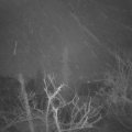 Webcam_20220113-063000