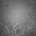 Webcam_20220113-064500