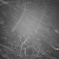 Webcam_20220113-070000