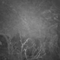 Webcam_20220113-073000