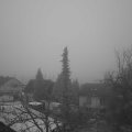 Webcam_20220113-080000