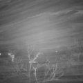 Webcam_20220113-200000