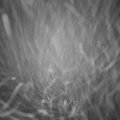 Webcam_20220113-201500