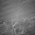 Webcam_20220113-203000