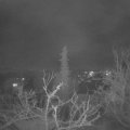 Webcam_20220113-210000