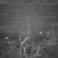 Webcam_20220113-220000