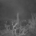 Webcam_20220114-050000