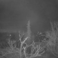 Webcam_20220114-051500
