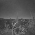 Webcam_20220114-070000