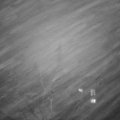 Webcam_20220114-173000