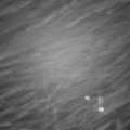 Webcam_20220114-190000