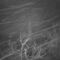 Webcam_20220115-050000