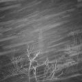 Webcam_20220115-053000