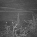 Webcam_20220115-060000
