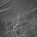 Webcam_20220115-061500