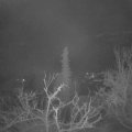 Webcam_20220115-063000