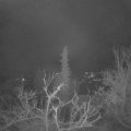 Webcam_20220115-070000