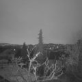 Webcam_20220115-073000