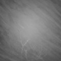 Webcam_20220116-051500