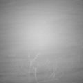 Webcam_20220116-053000