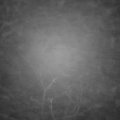 Webcam_20220116-054500