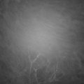 Webcam_20220116-061500