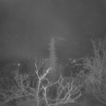 Webcam_20220116-063000
