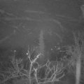 Webcam_20220116-070000