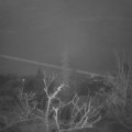 Webcam_20220116-073000