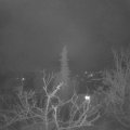 Webcam_20220117-050000