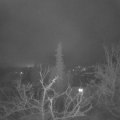 Webcam_20220117-053000