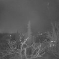 Webcam_20220117-054500